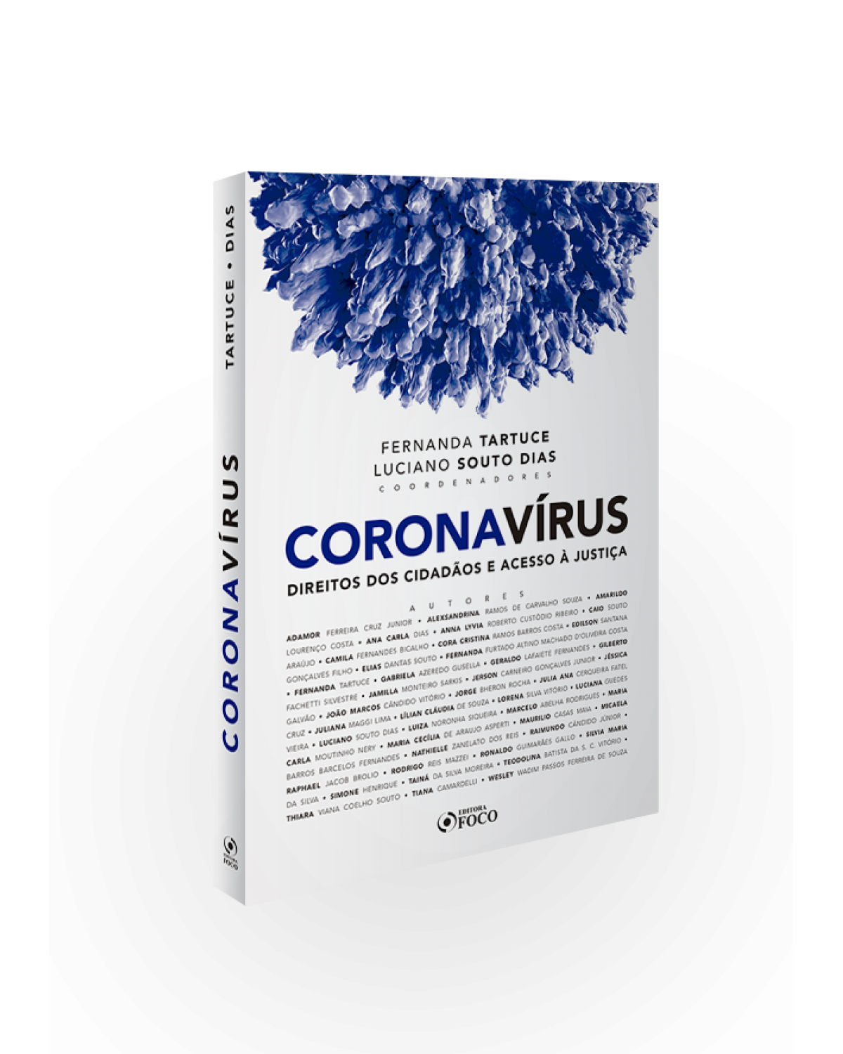 Coronavírus - Direitos dos cidadãos e acesso à justiça | 2020