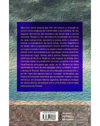 Educação, dialética e horizonte crítico em Theodor Adorno - a pedra que caiu no rio - 1ª Edição | 2020
