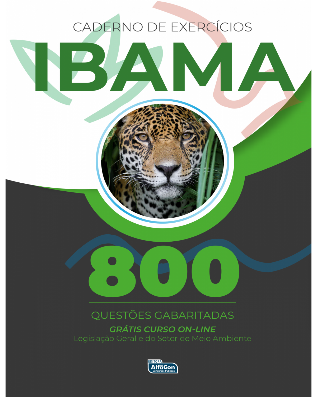 Caderno de questões IBAMA - 1ª Edição | 2021