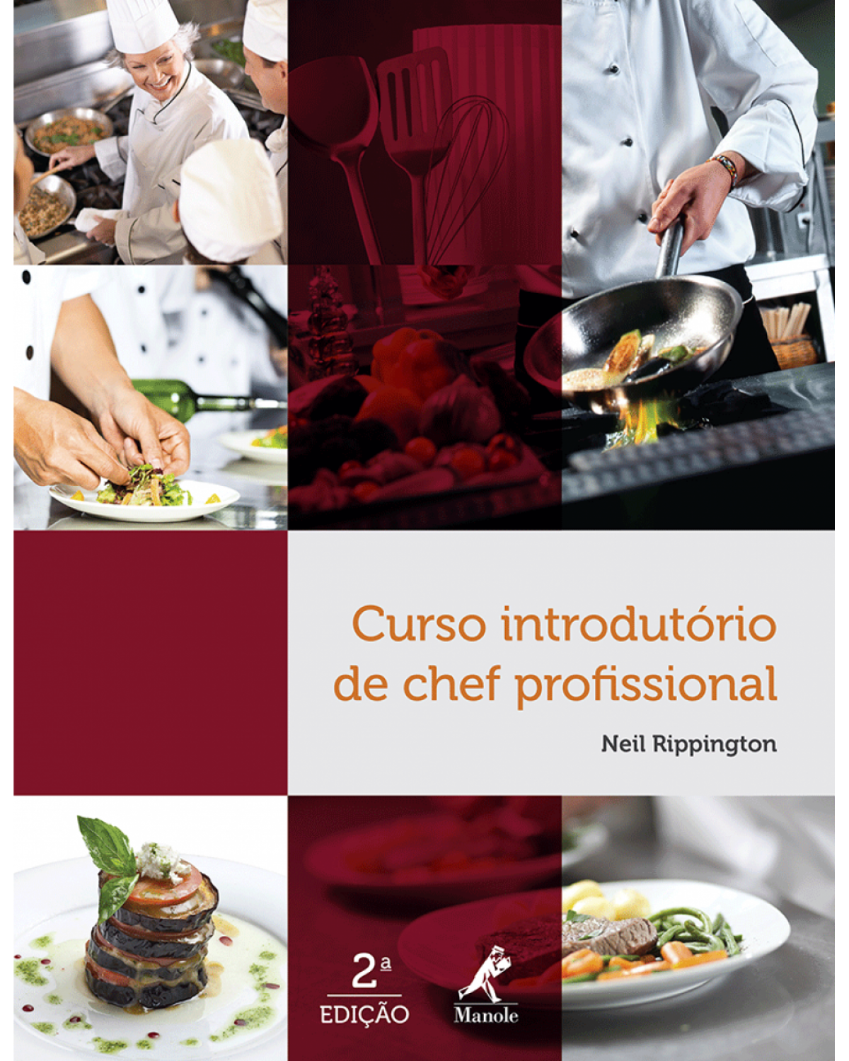 Curso introdutório de chef profissional - 2ª Edição | 2014