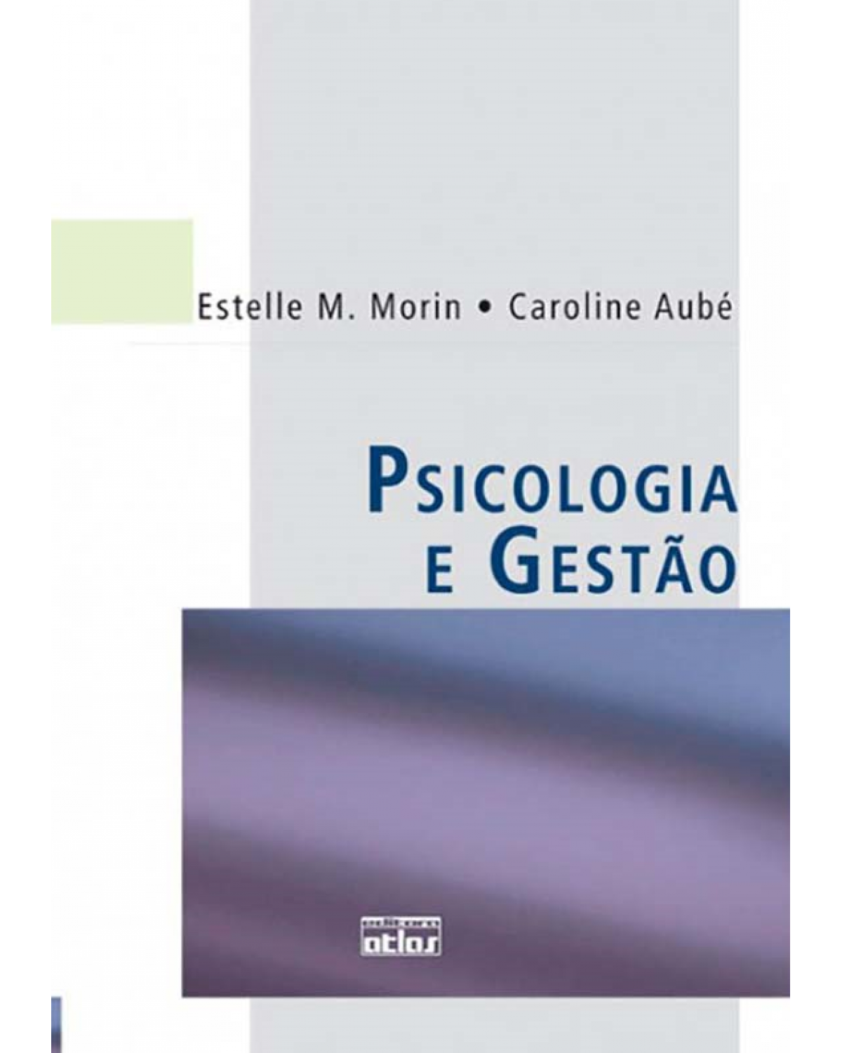 Psicologia e gestão - 1ª Edição | 2009