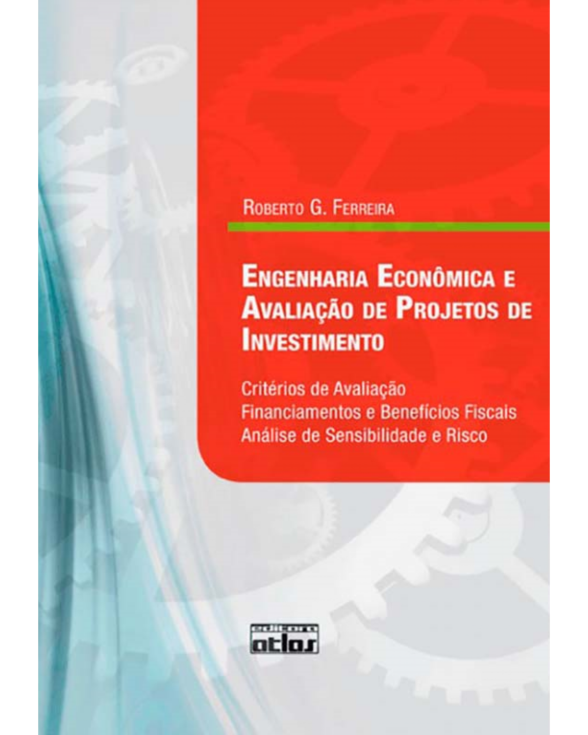 Engenharia econômica e avaliação de projetos de investimento - 1ª Edição | 2009