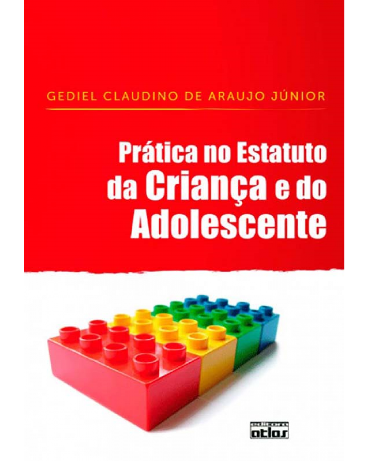 Prática no estatuto da criança e do adolescente - 1ª Edição | 2010