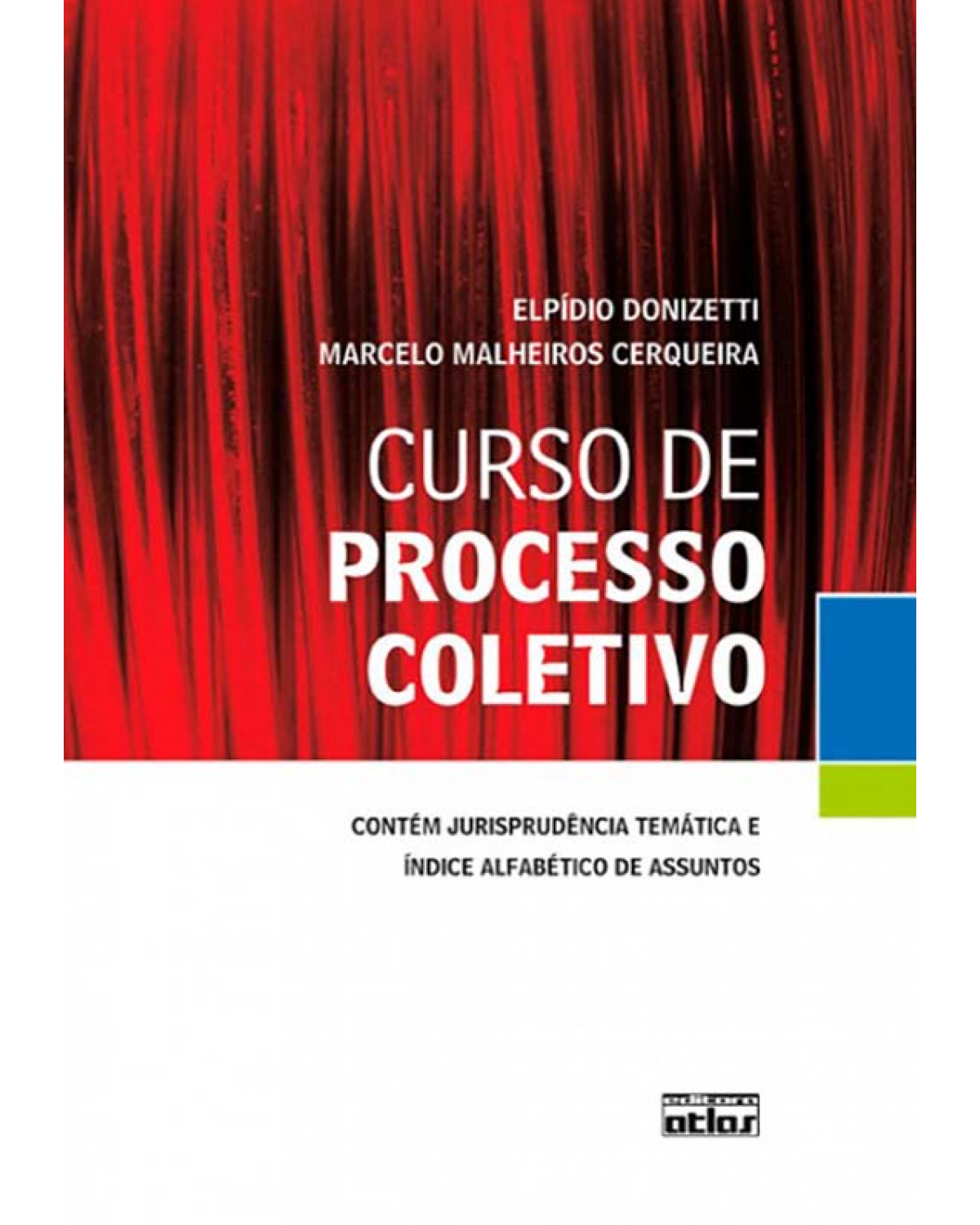 Curso de processo coletivo - 1ª Edição | 2010