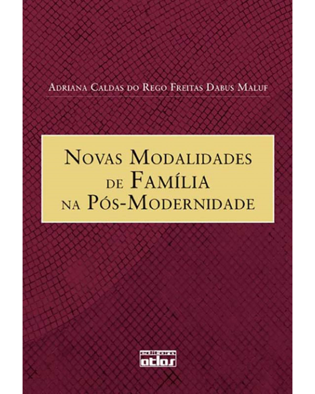 Novas modalidades de família na pós-modernidade - 1ª Edição | 2010