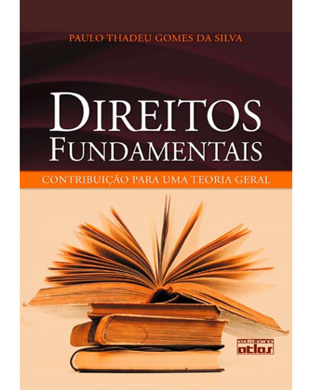 Direitos fundamentais - Contribuição para uma teoria geral - 1ª Edição | 2010