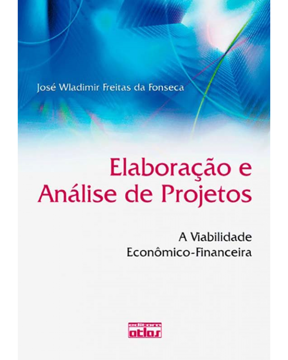Elaboração e análise de projetos - A viabilidade econômico-financeira - 1ª Edição | 2012