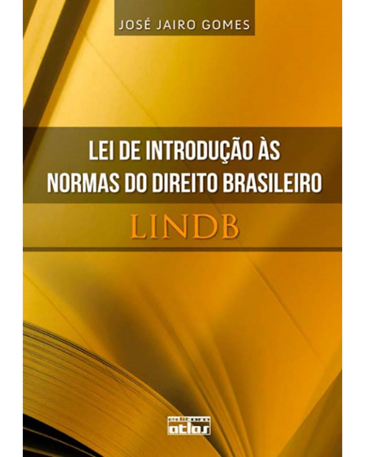 Lei de introdução às normas do direito brasileiro - LINDB - 1ª Edição | 2012