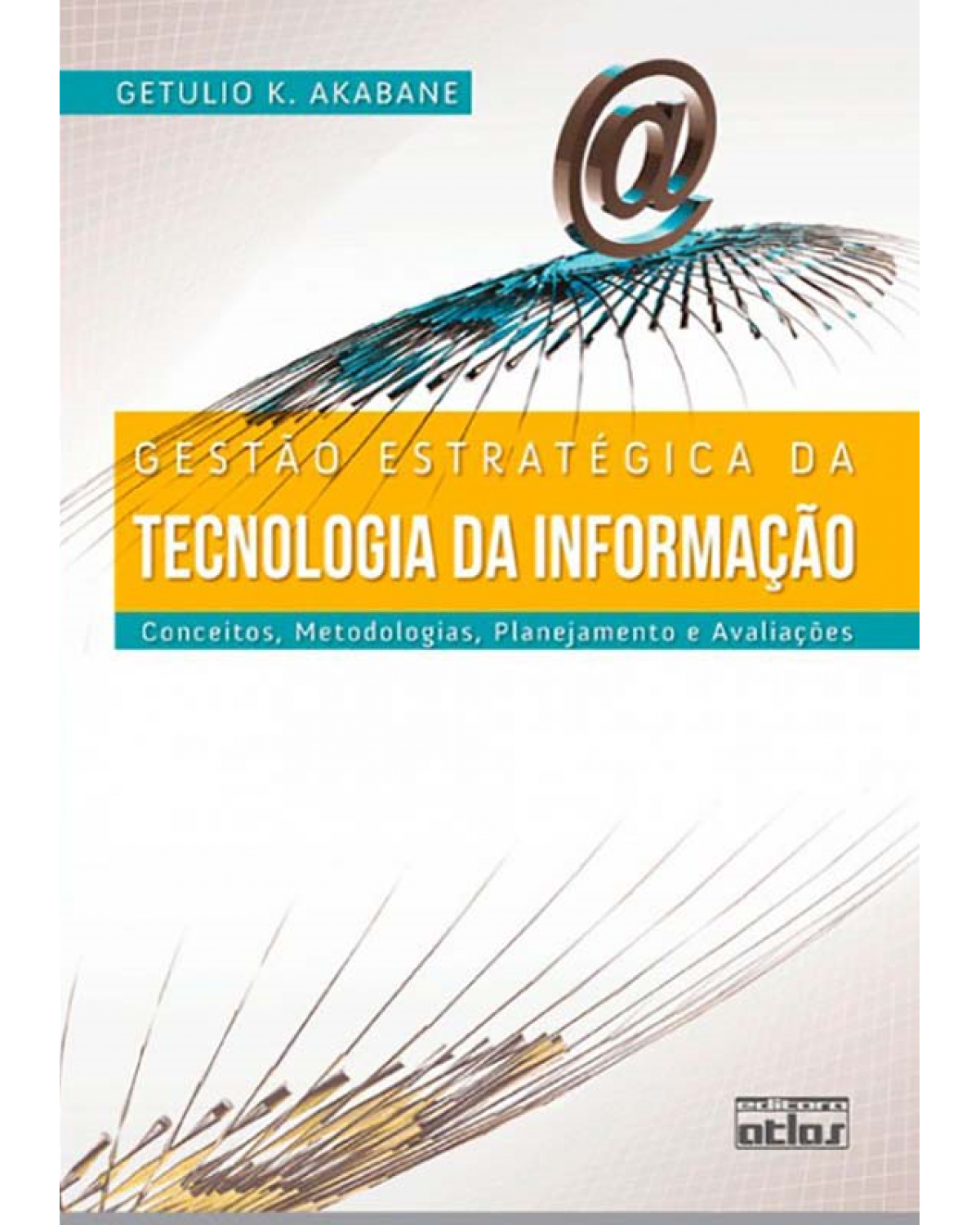 Gestão estratégica da tecnologia da informação - Conceitos, metodologias, planejamento e avaliações - 1ª Edição | 2012