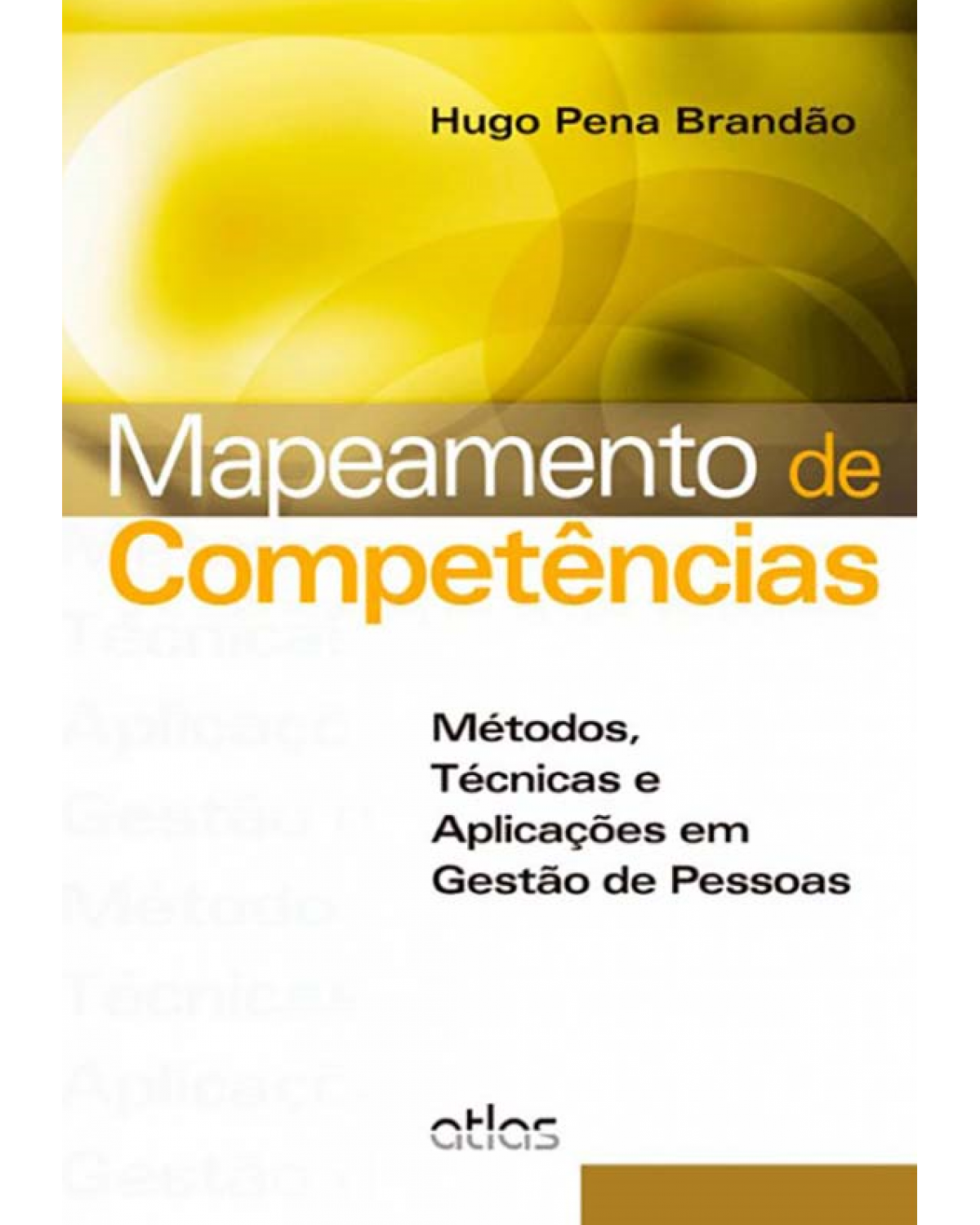 Mapeamento de competências - Métodos, técnicas e aplicações em gestão de pessoas - 1ª Edição | 2012