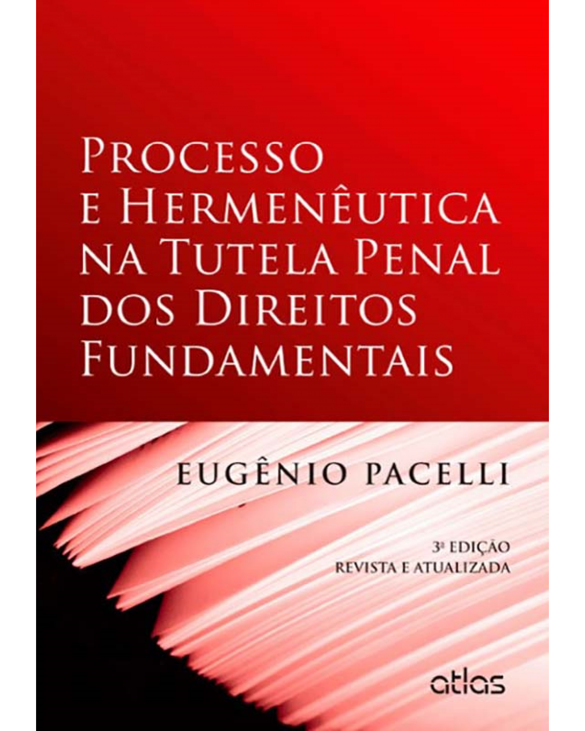 Processo e hermenêutica na tutela penal dos direitos fundamentais - 3ª Edição | 2012