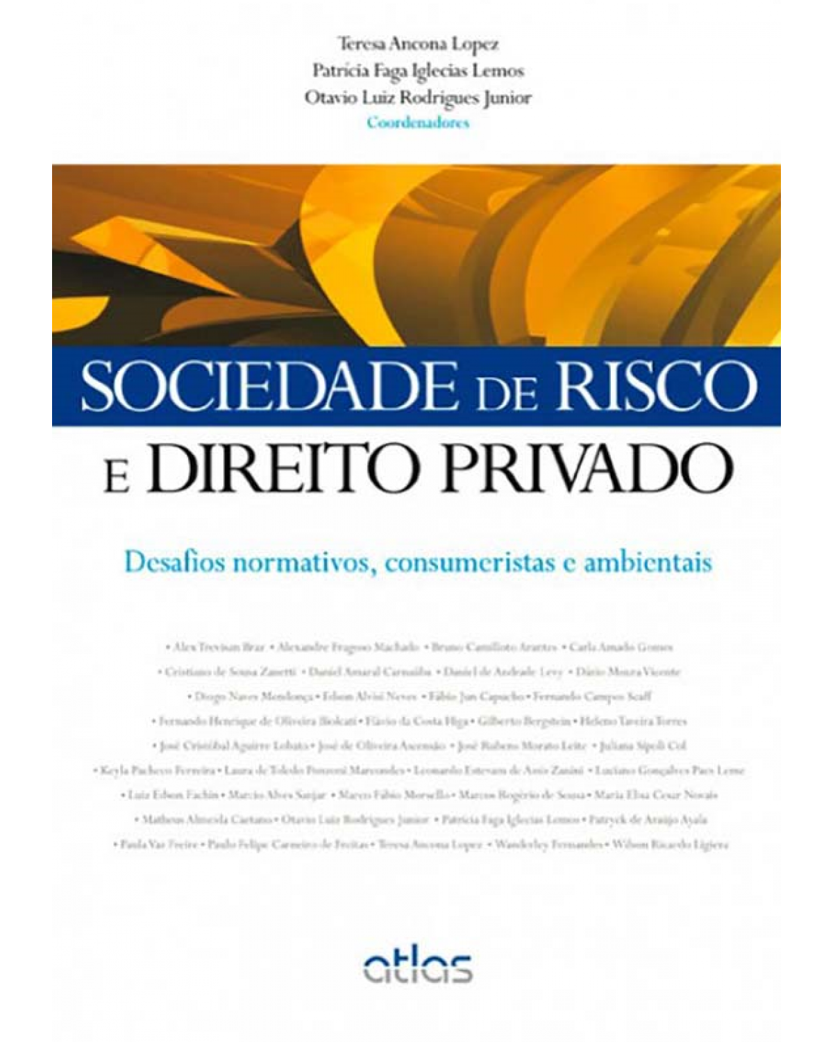 Sociedade de risco e direito privado - Desafios normativos, consumeristas e ambientais - 1ª Edição | 2013
