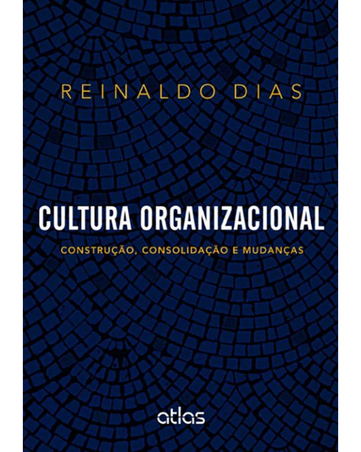 Cultura organizacional - Construção, consolidação e mudanças - 1ª Edição | 2013