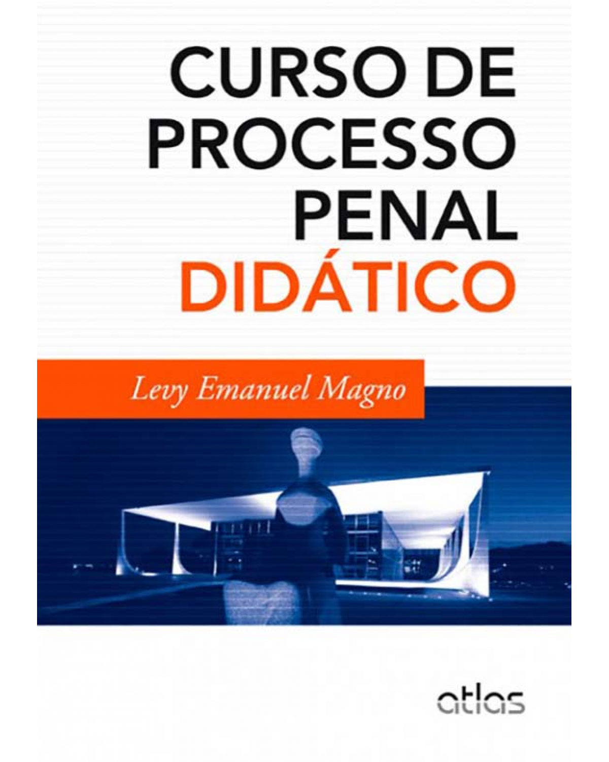 Curso de processo penal didático - 1ª Edição | 2013