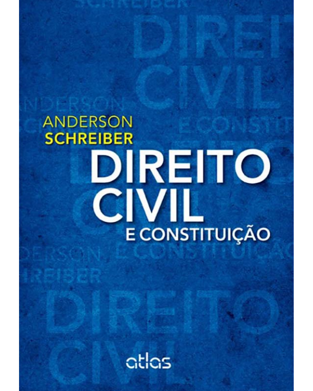 DIREITO CIVIL E CONSTITUIÇÃO - 1ª Edição 2013 - 1ª Edição | 2013