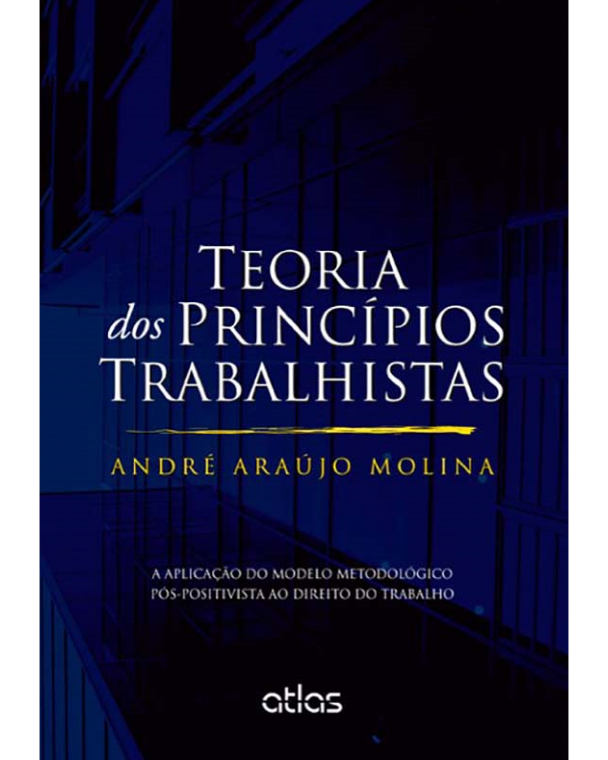 Teoria dos princípios trabalhistas - A aplicação modelo metodológico pós-positivista ao direito do trabalho - 1ª Edição | 2013