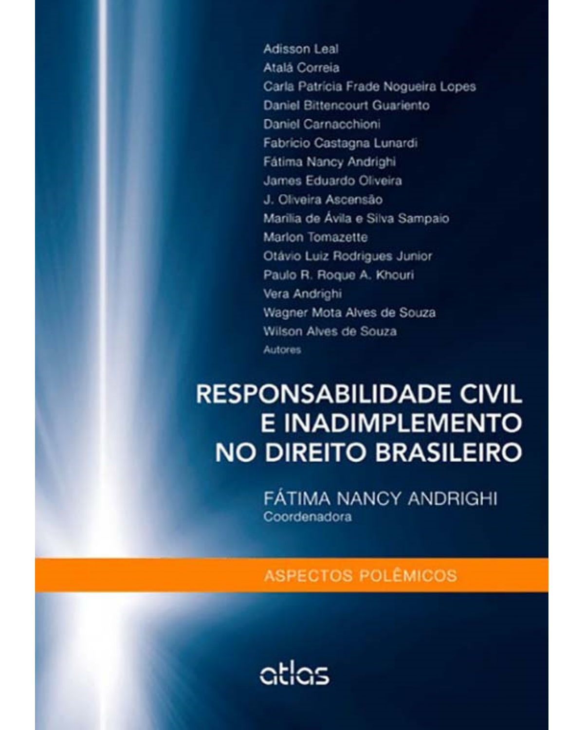 Responsabilidade civil e inadimplemento no direito brasileiro - Aspectos polêmicos - 1ª Edição | 2014