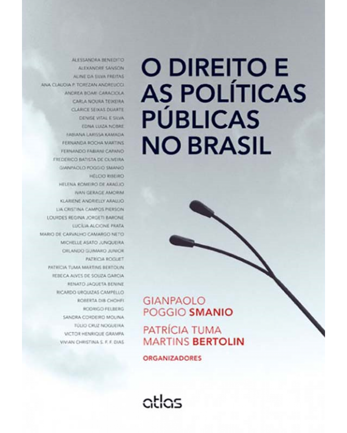 O direito e as políticas públicas no Brasil - 1ª Edição | 2013