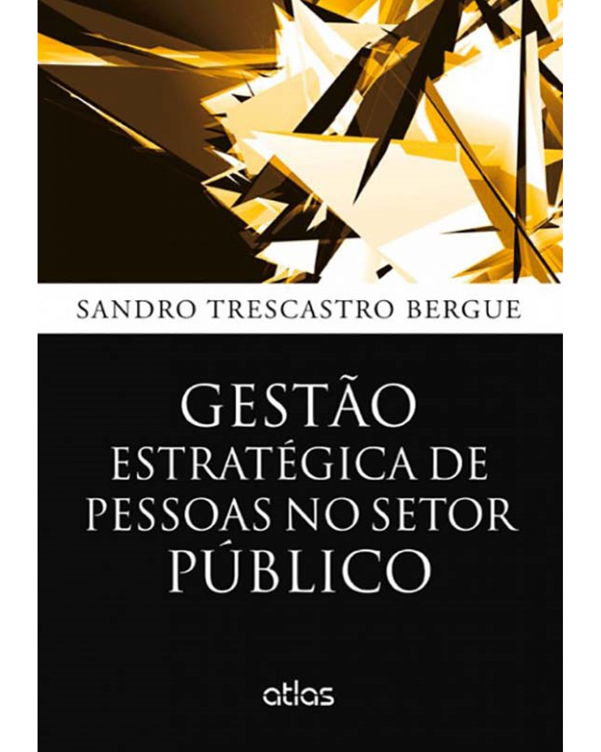 Gestão estratégica de pessoas no setor público - 1ª Edição | 2014