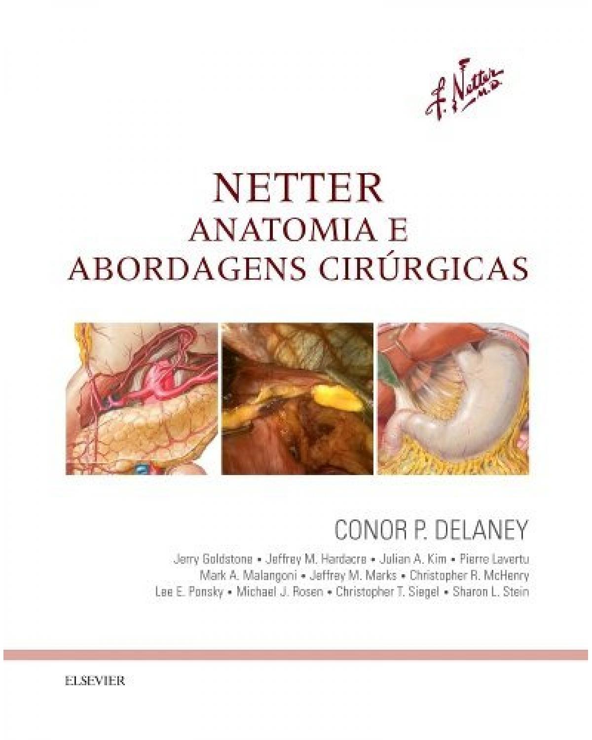 Netter - Anatomia e abordagens cirúrgicas - 1ª Edição | 2016