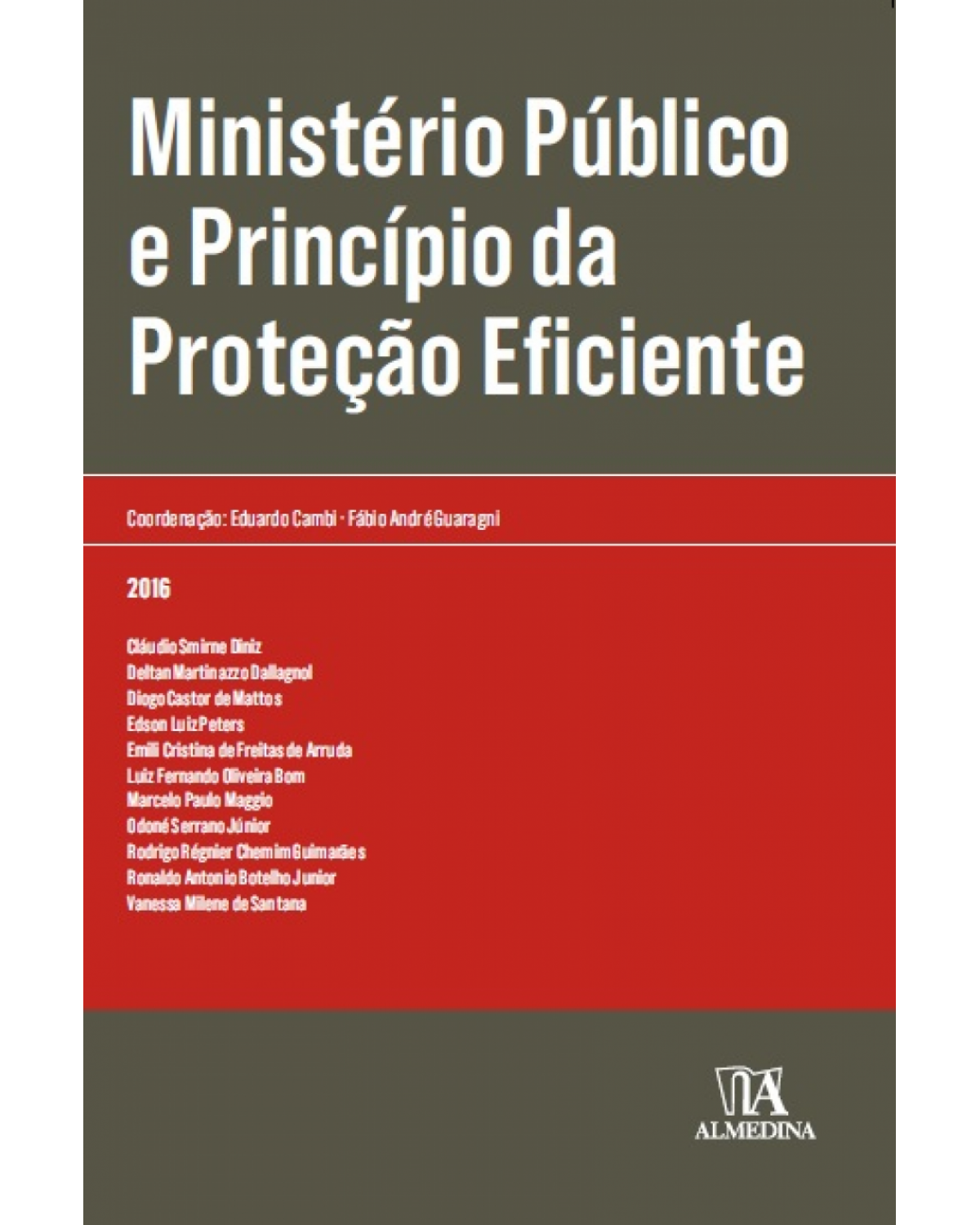 Ministério Público e princípio da proteção eficiente - 1ª Edição | 2016