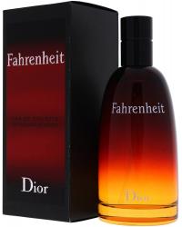 Christian Dior Fahrenheit - Eau de Toilette - Perfume Masculino - 100 ml