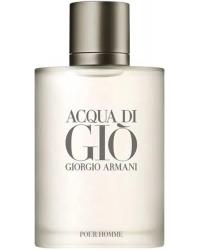 Acqua Di Giò Homme Giorgio Armani - Perfume Masculino - Eau de Toilette - 100ml